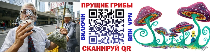 omg ссылка  как найти   Гвардейск  Псилоцибиновые грибы ЛСД 